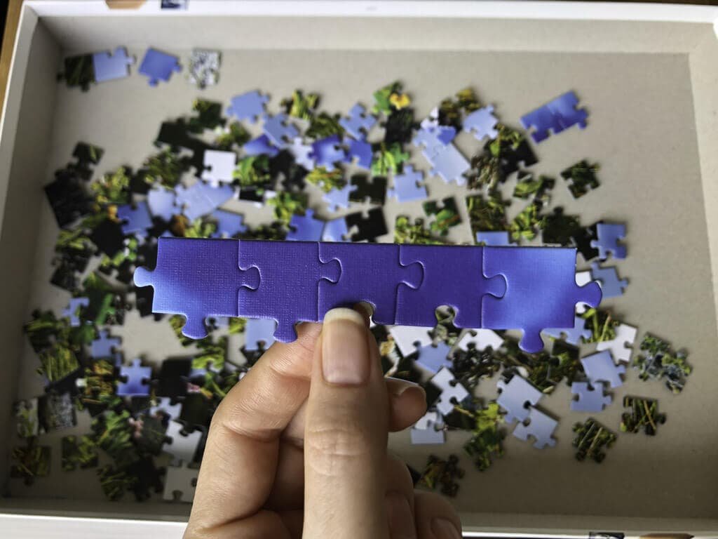 Edge puzzle pieces held in hand