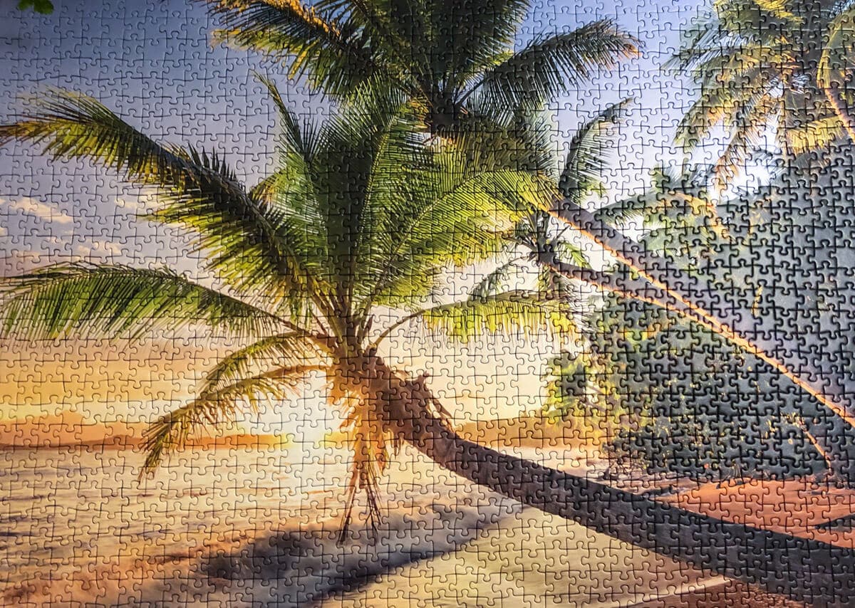 Finished puzzle of a beach