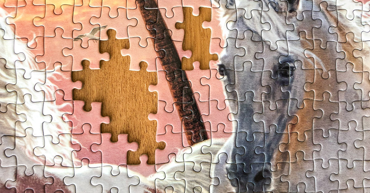 Jigsaw sales puzzle horses