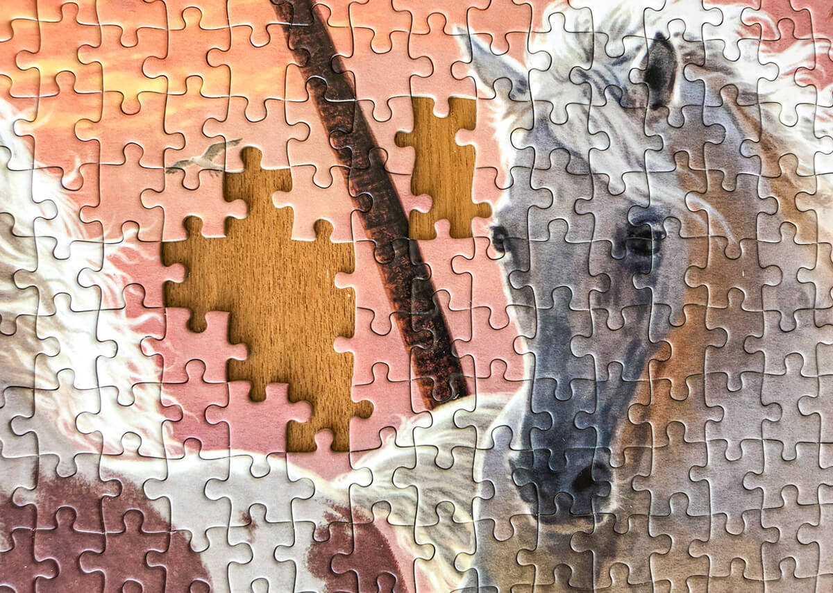 a closeup of a horse jigsaw puzzle